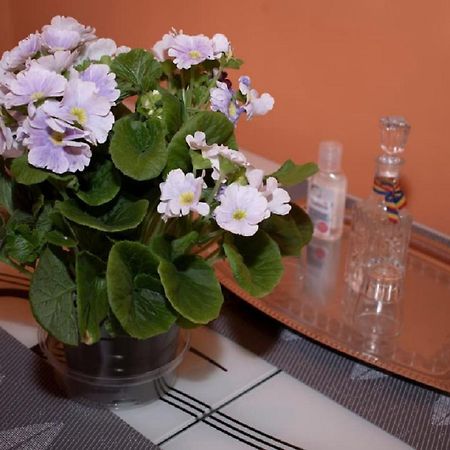 Central Apartment Maria Sibiu Exterior photo